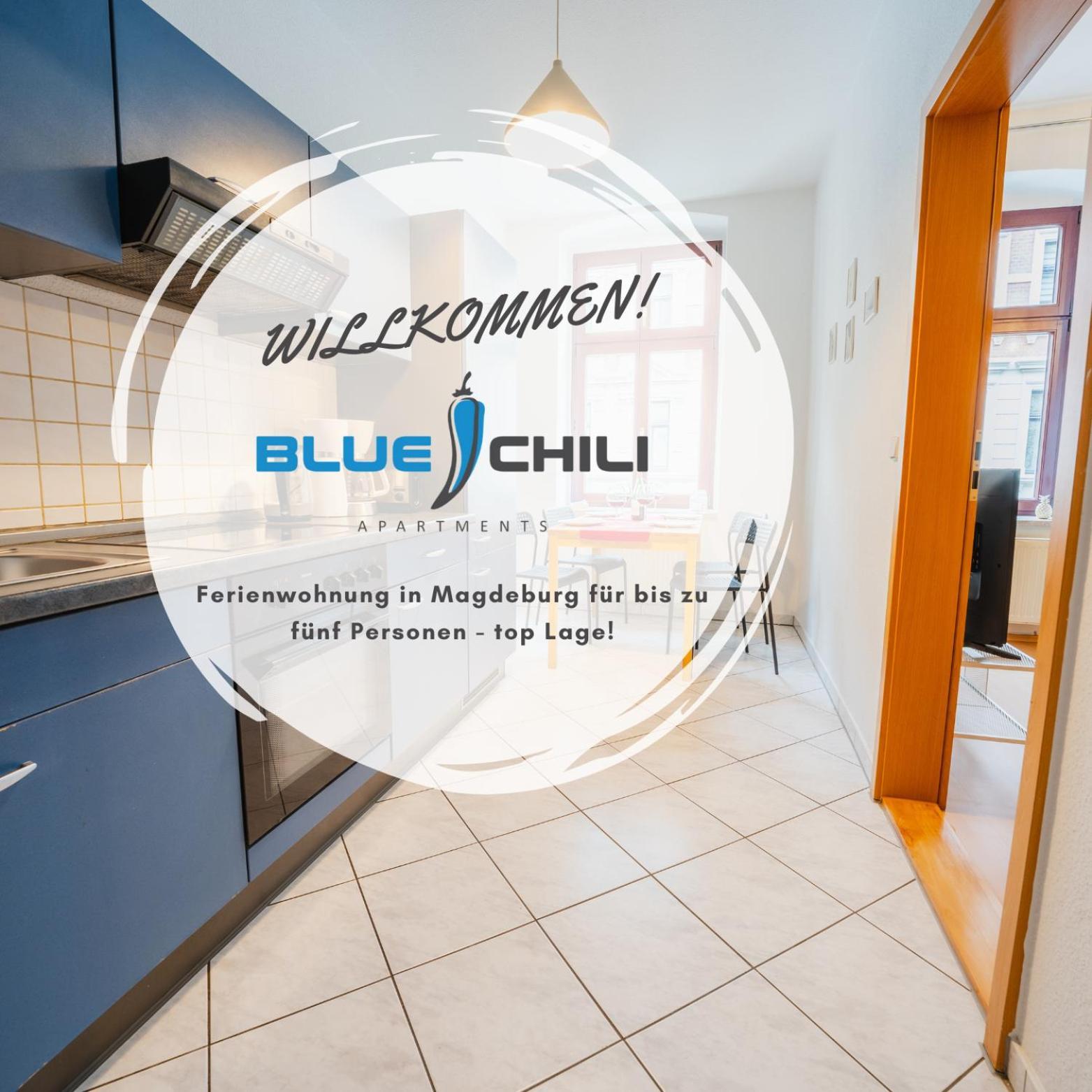 Blue Chili 08 - Magdeburg 2-Zimmer Altbau, Wi-Fi, 5 Pax Eksteriør bilde